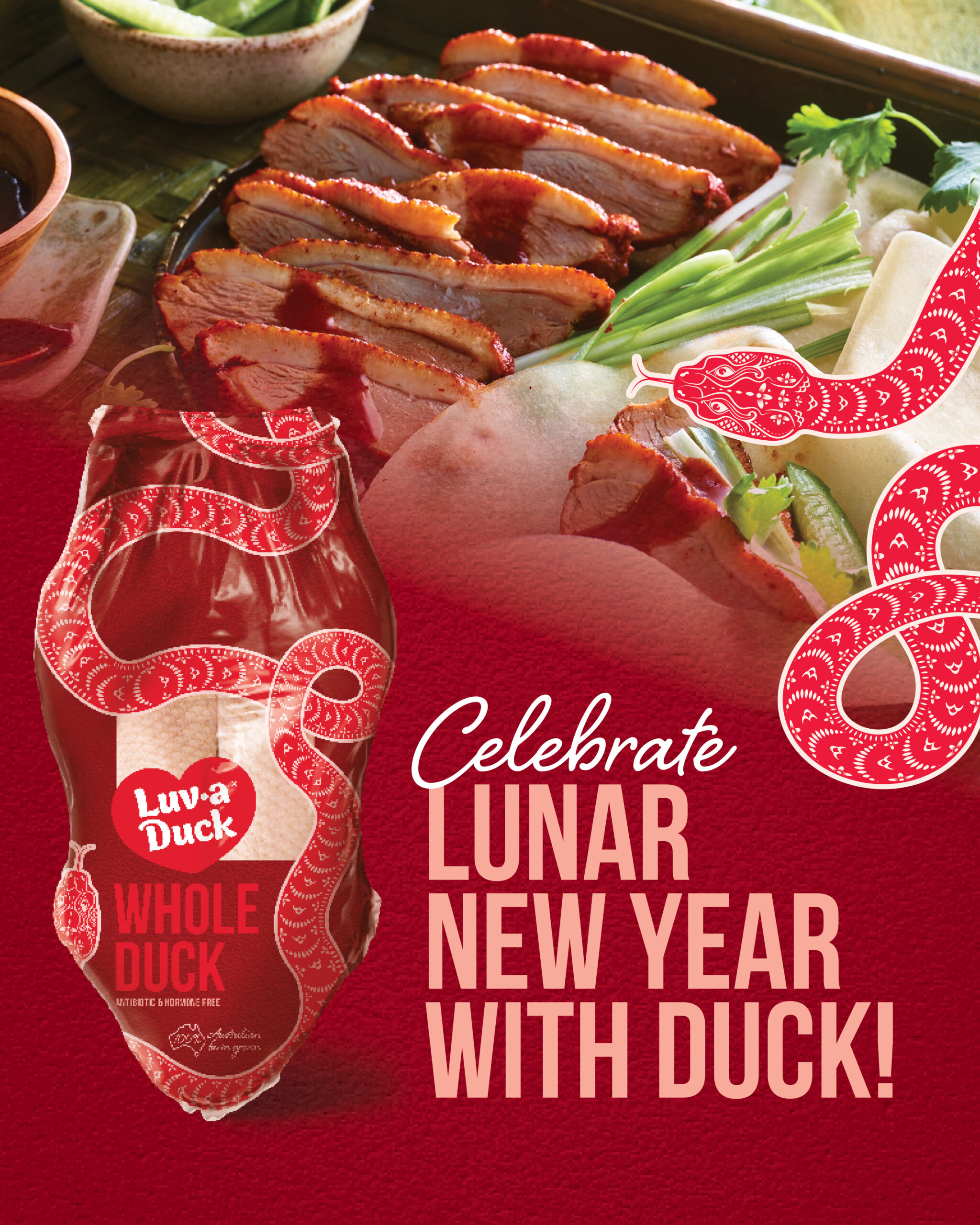 A Luv-a-Duck Exclusive for the Year of the Snake!